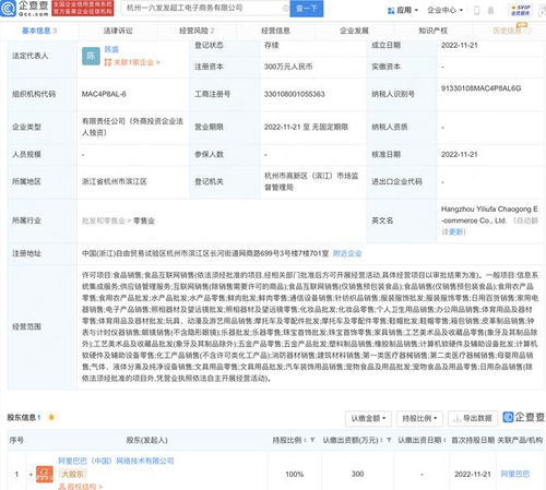 阿里巴巴成立一六發發電商新公司，強化網絡技術服務布局